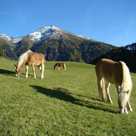 Appartamento Bio & Reiterhof Der Veitenhof Umhausen Esterno foto